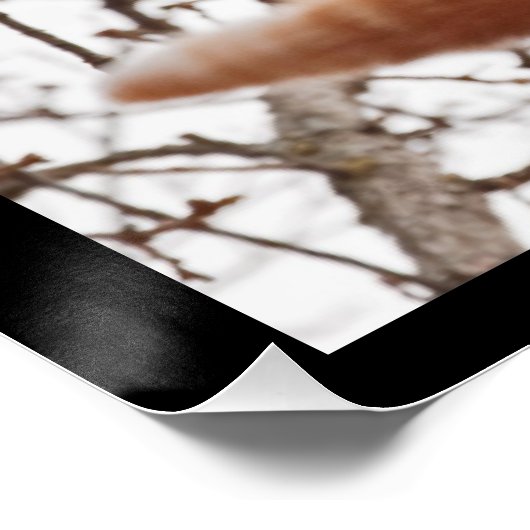 Hou vol. - Ginger cat houdt vast Perfect Poster (Hoek)