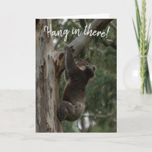 Hou vol. Koala Australia Kaart