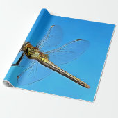 Hou vol met artistieke dragonfly tegen Cerulean Bl Cadeaupapier (Uitgerold)