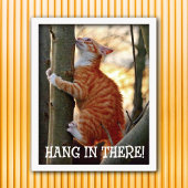 Hou vol met Cat Poster