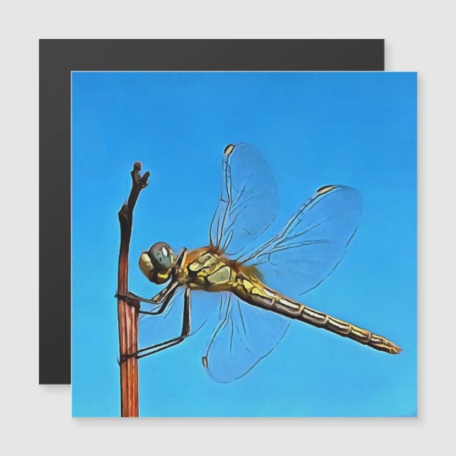 Hou vol met een artistieke dragonfly (Voorkant / Achterkant)