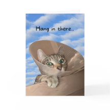 Hou vol met een kat in Cone Funny.