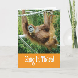 Hou vol met grappige orang-oetan in boom kaart