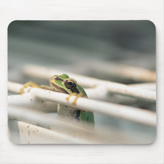 Hou vol. muismat (Voorkant)