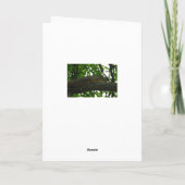 Hou vol, ook dit zal voorbijgaan, Schattigee eekho Kaart (Achterkant)