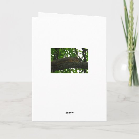 Hou vol, ook dit zal voorbijgaan, Schattigee eekho Kaart (Achterkant)