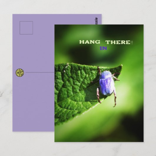 Hou vol, paarse Beatle,  Briefkaart (Voorkant / Achterkant)