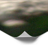 Hou vol. poster (Hoek)