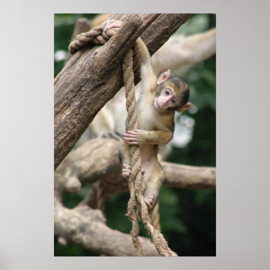 Hou vol. poster (Voorkant)