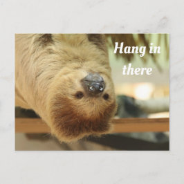 Hou vol, Sloth Briefkaart