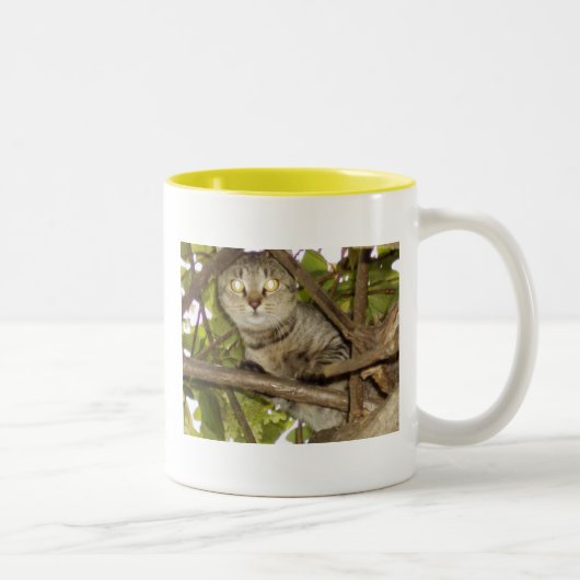 Hou vol. tweekleurige koffiemok (Rechts)