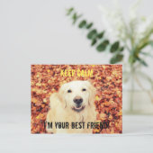 HOUD CALM Briefkaart voor honden (Staand voorkant)