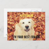 HOUD CALM Briefkaart voor honden (Voorkant / Achterkant)