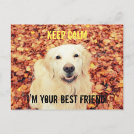HOUD CALM Briefkaart voor honden
