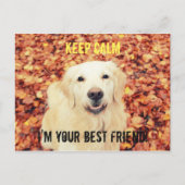 HOUD CALM Briefkaart voor honden (Voorkant)