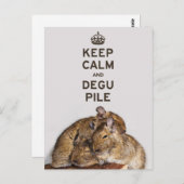 Houd Calm en Degu-pool Briefkaart (Voorkant / Achterkant)