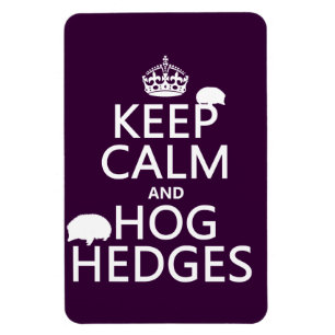 Houd Calm en Hog Handen (Egels) (alle kleuren) Magneet