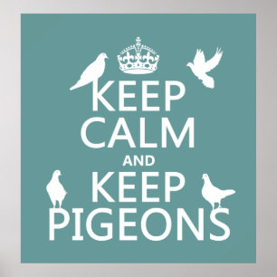 Houd Calm en houd Pigeons - alle kleuren Poster