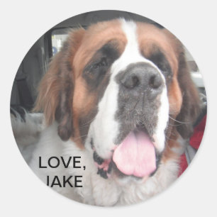 HOUD, JAKE STICKER