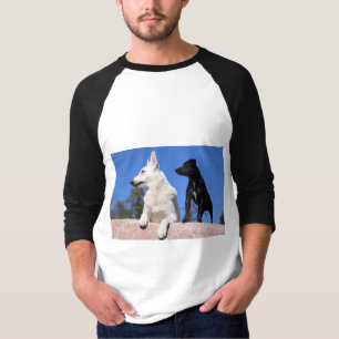 Houd je ogen op de sterren en je voeten op de ster t-shirt