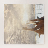 Houd Je Paard Puzzel (Horizontaal)
