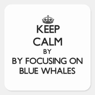 Houd kalm door zich te richten op Blauwe Walvissen Vierkante Sticker
