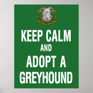 Houd kalm en neem een Greyhound aan Poster