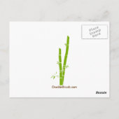 Houd kalm en pandemie op originele afdruk van ontw briefkaart (Achterkant)