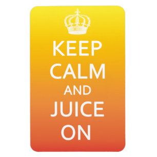 Houd kalm en sap op Bright Fridge Magnet Magneet