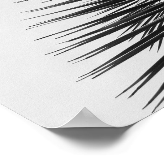 Houd kalm en verwijder de witte palmen poster (Hoek)