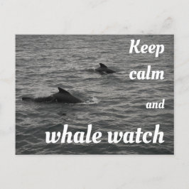 Houd kalm en walvis Briefkaart in de gaten