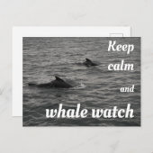 Houd kalm en walvis Briefkaart in de gaten (Voorkant / Achterkant)
