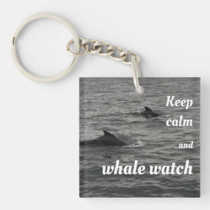 Houd kalm en walvis de sleutelring in de gaten sleutelhanger
