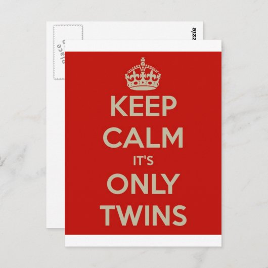 Houd Kalm het is slechts Tweelingen Briefkaart (Voorkant / Achterkant)