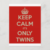 Houd Kalm het is slechts Tweelingen Briefkaart (Voorkant)