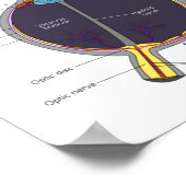 Houd me niet in de ogen Oog Anatomie Attitude Poster (Hoek)