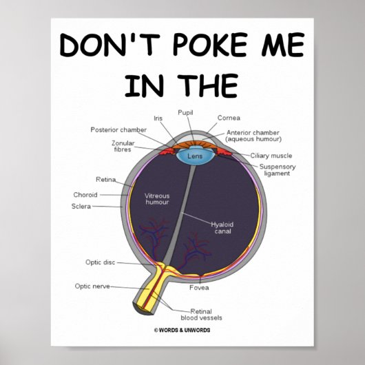 Houd me niet in de ogen Oog Anatomie Attitude Poster (Voorkant)