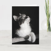 Houd met op dromend geen Kaart (Voorkant)