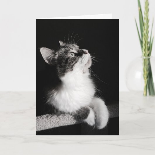 Houd met op dromend geen Kaart (Voorkant)