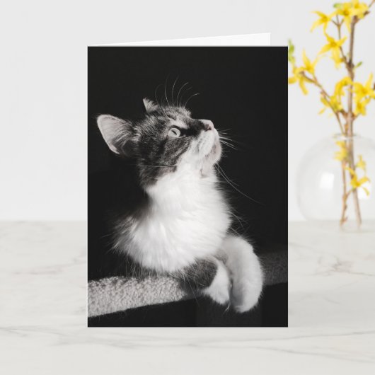 Houd met op dromend geen Kaart (Gele Bloem)