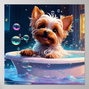 Houd of Creëer je eigen Poster