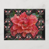 HOUD OP WINGEN! Briefkaart (Voorkant)