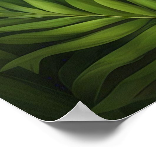 Houd Panda of ontwerp je eigen poster (Hoek)