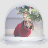 Houd rekening met uw hond foto sentimentele kerst sneeuwbol (Voorkant)