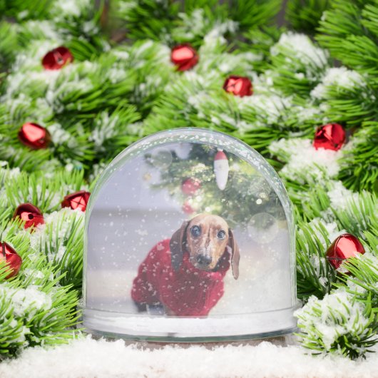 Houd rekening met uw hond foto sentimentele kerst sneeuwbol (Kerstmis)
