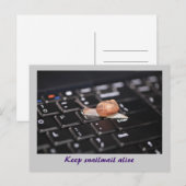 Houd Snailmail in leven Briefkaart (Voorkant / Achterkant)