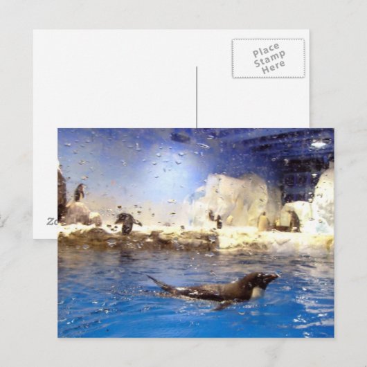 Houd uw hoofd omhoog/Cute Swimming Penguin Briefkaart (Voorkant / Achterkant)