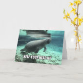 "Houd Uw Hoofd Omhooggaand" het Kalmeren Wenskaart Kaart (Gele Bloem)