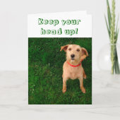 Houd Uw Hoofd op Kaart (Voorkant)