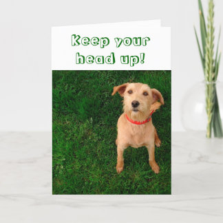 Houd Uw Hoofd op Kaart